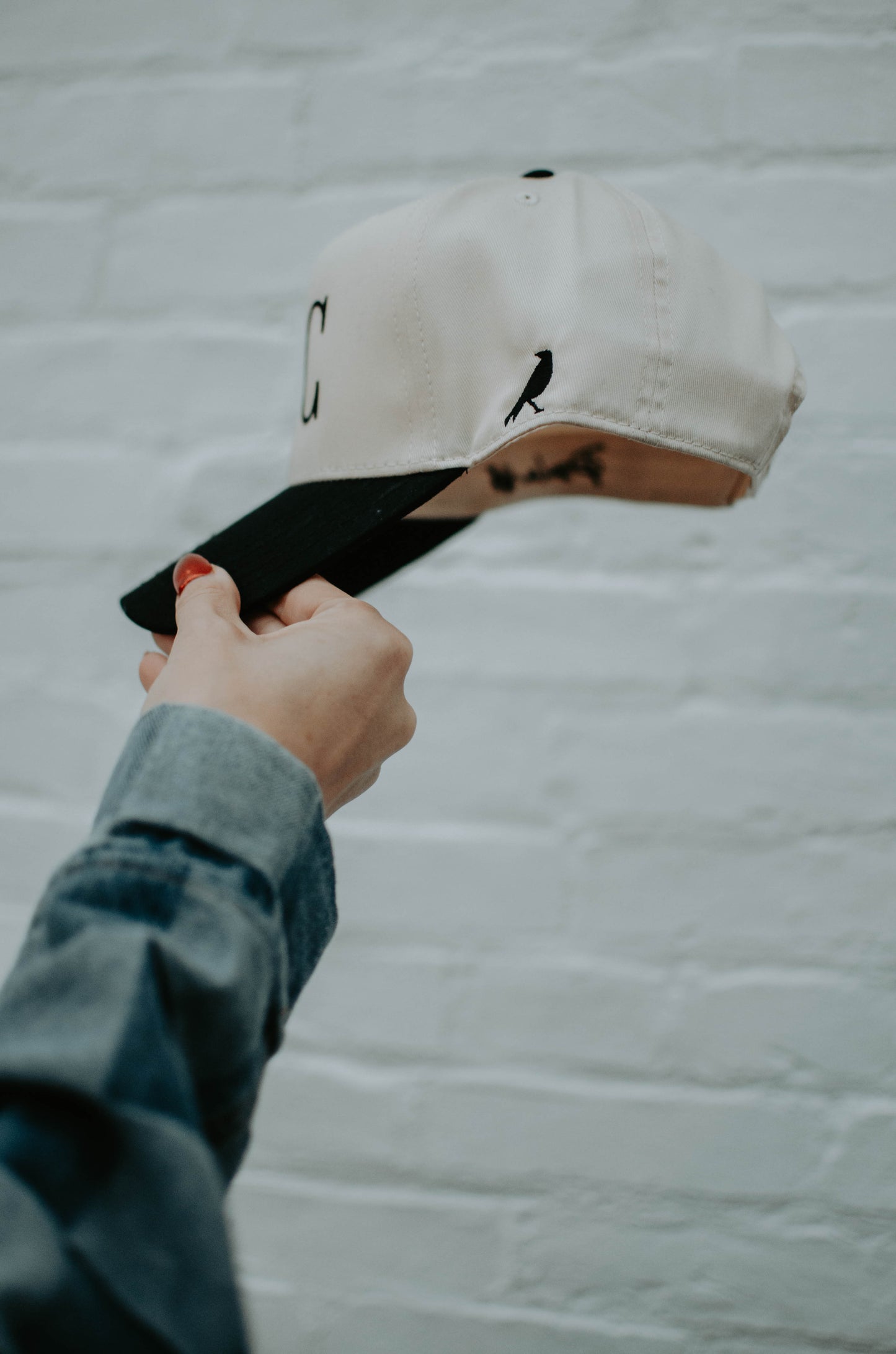 I + C hat